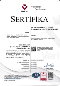 ISO 45001 Occupational Health and Safety Management System