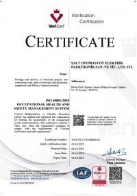 ISO 45001 Occupational Health and Safety Management System